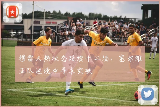 穆雷火热状态延续十二场，塞尔维亚队逆境中寻求突破